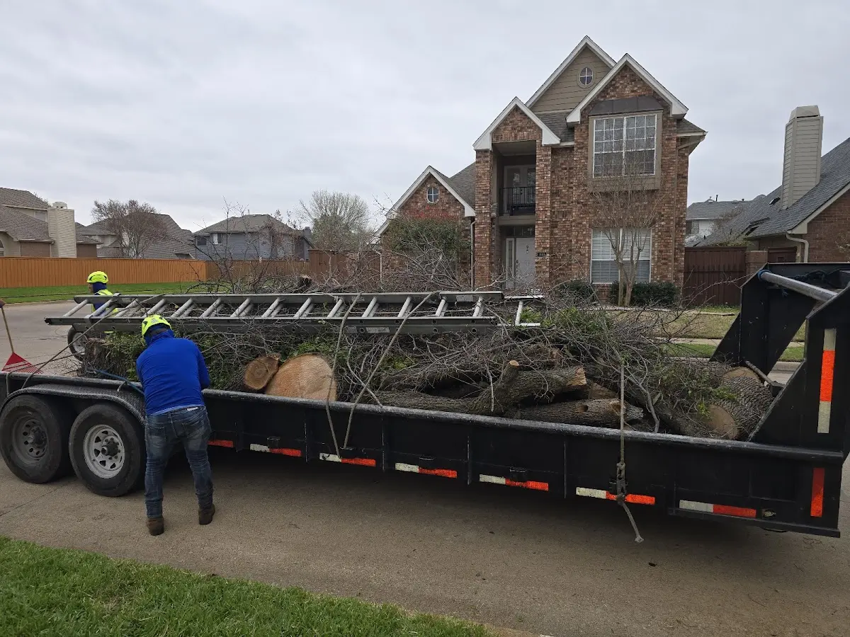Expert Tree Fertilization with proper safety equipment in Yarnell